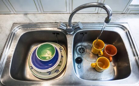 Blocked Drains Attract Pests?